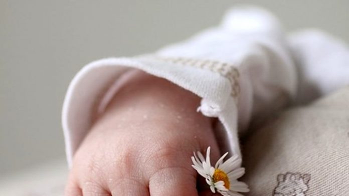 neonato mano-2